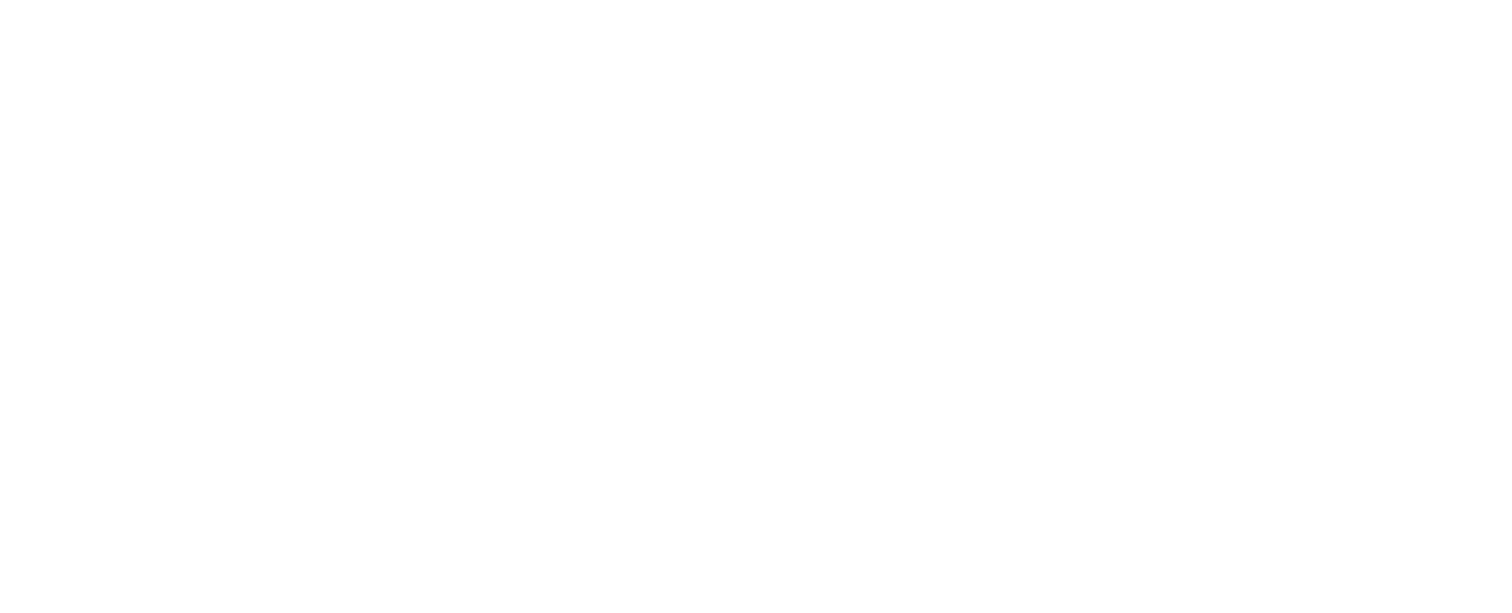 halls plumbing and heating services logo upscaled white